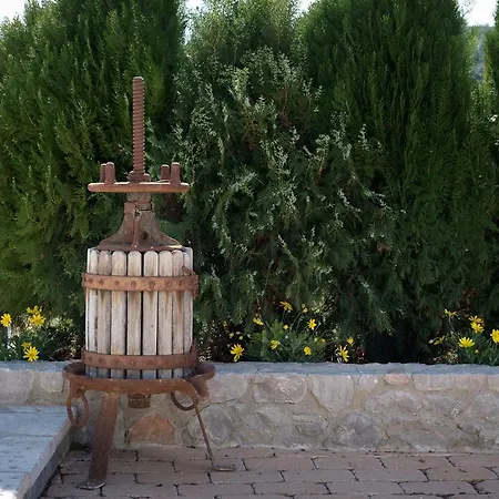 Traditional Grandma Vitsa In Holiday home