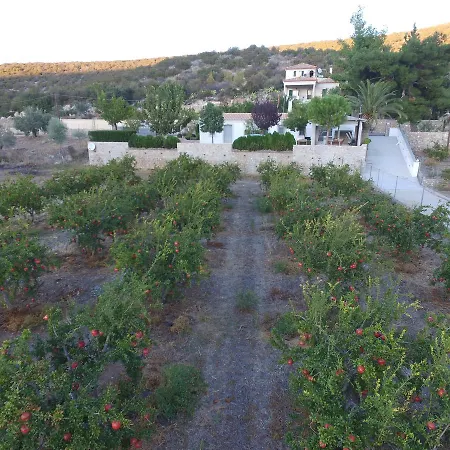 Holiday home Traditional Grandma Vitsa In